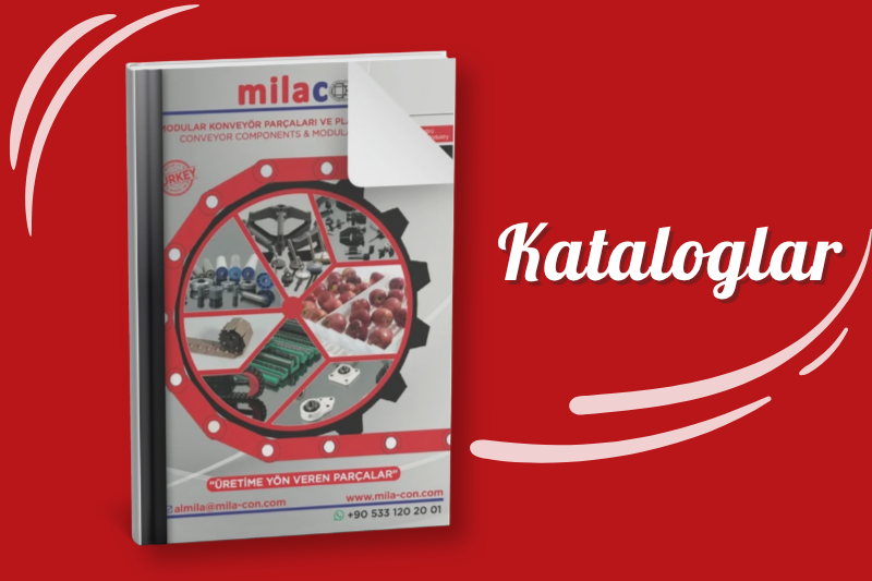 Kataloglar
